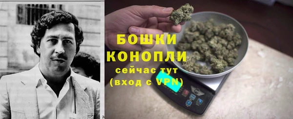 прущие крисы Корсаков