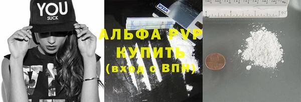 прущие крисы Корсаков