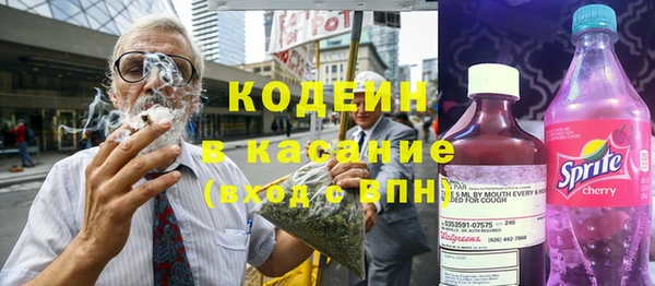 прущие крисы Корсаков