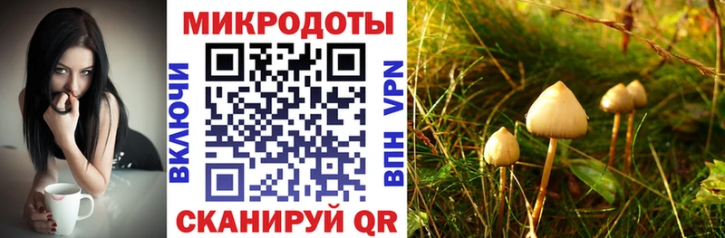 блэк спрут tor  Камышин  Псилоцибиновые грибы GOLDEN TEACHER 