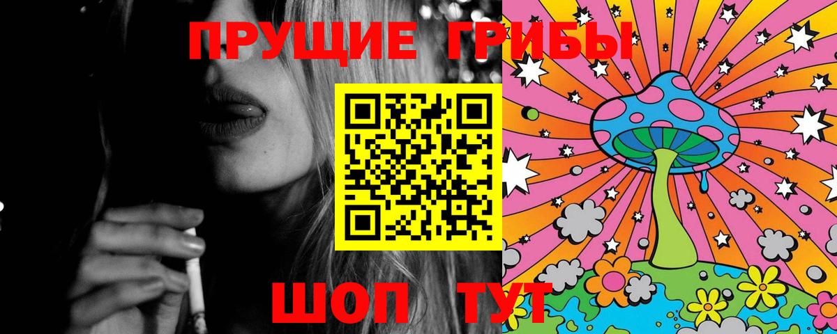 Галлюциногенные грибы Psilocybine cubensis  Вход с VPN  Камышин  Галлюциногенные грибы Psilocybe 