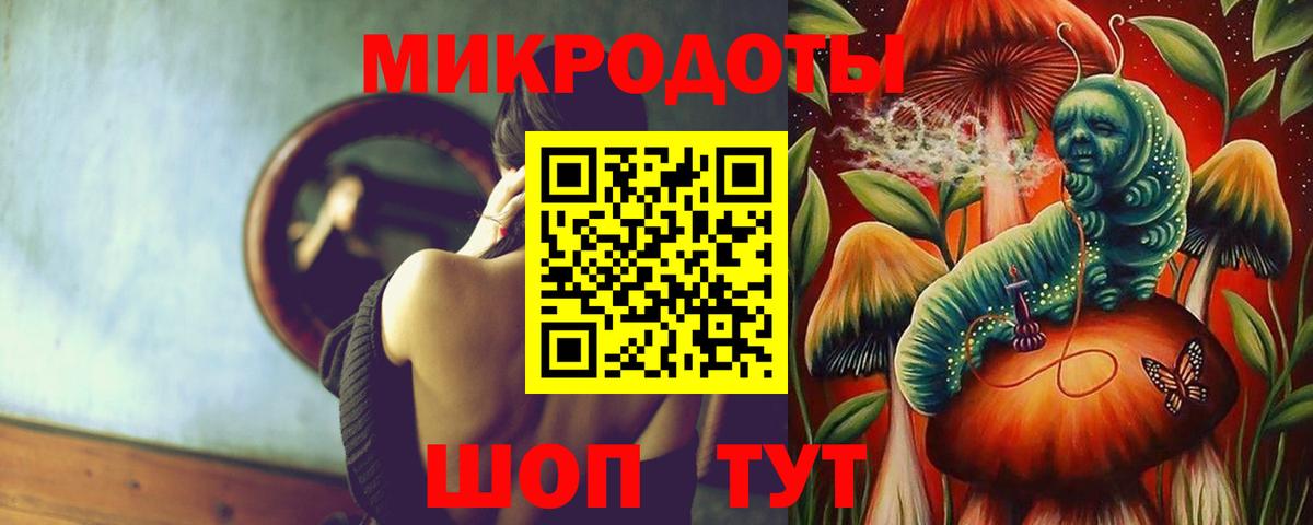 Галлюциногенные грибы GOLDEN TEACHER Камышин