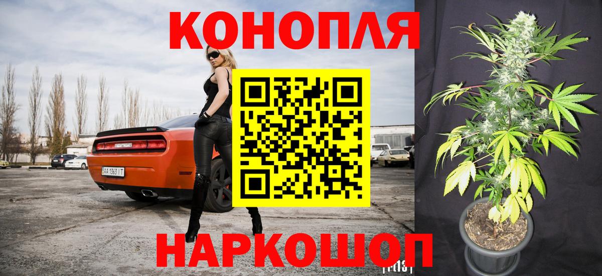 Бошки Шишки конопля Камышин